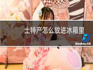 土特产怎么放进冰箱里