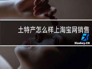 土特产怎么样上淘宝网销售