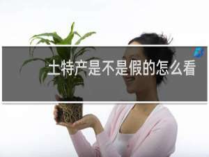 土特产是不是假的怎么看