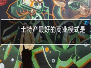 土特产最好的商业模式是