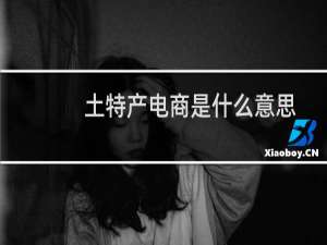 土特产电商是什么意思