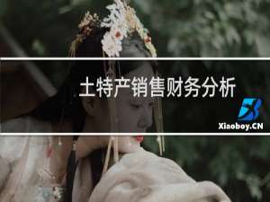 土特产销售财务分析