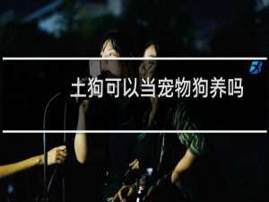 土狗可以当宠物狗养吗