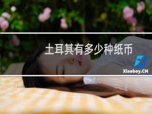 土耳其有多少种纸币