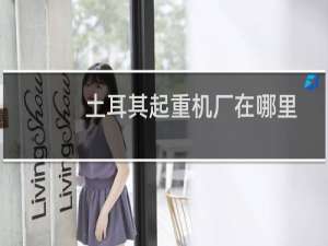 土耳其起重机厂在哪里