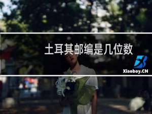 土耳其邮编是几位数