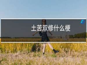 土苦双修什么梗？什么梗