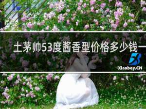 土茅帅53度酱香型价格多少钱一瓶