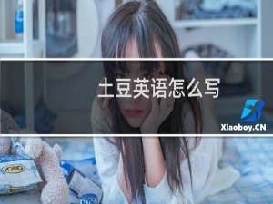 土豆英语怎么写