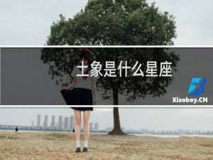 土象是什么星座
