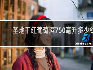 圣地干红葡萄酒750毫升多少钱