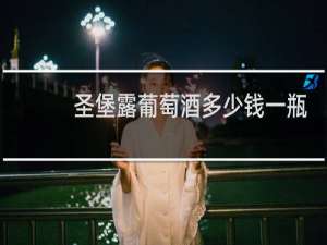 圣堡露葡萄酒多少钱一瓶