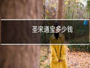圣宋通宝多少钱