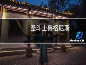 圣斗士鲁格尼斯