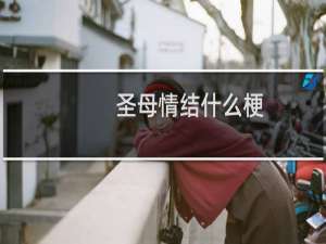 圣母情结什么梗