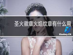 圣火徽章火焰纹章有什么用
