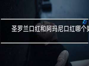 圣罗兰口红和阿玛尼口红哪个好