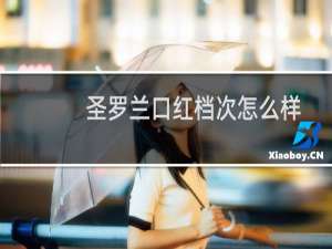 圣罗兰口红档次怎么样