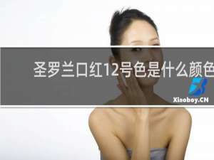 圣罗兰口红12号色是什么颜色