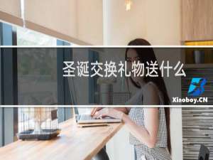 圣诞交换礼物送什么