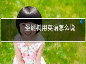 圣诞树用英语怎么说