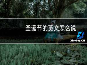 圣诞节的英文怎么说