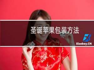 圣诞苹果包装方法