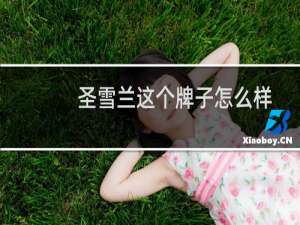 圣雪兰这个牌子怎么样