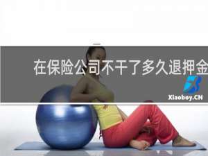 在保险公司不干了多久退押金