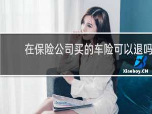 在保险公司买的车险可以退吗