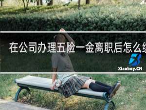 在公司办理五险一金离职后怎么续保