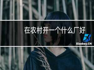 在农村开一个什么厂好