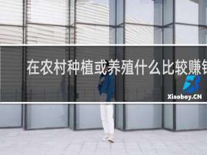 在农村种植或养殖什么比较赚钱