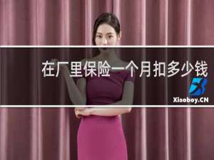 在厂里保险一个月扣多少钱