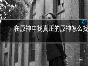 在原神中找真正的原神怎么找