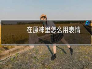 在原神里怎么用表情