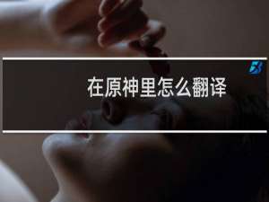 在原神里怎么翻译