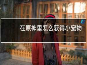 在原神里怎么获得小宠物