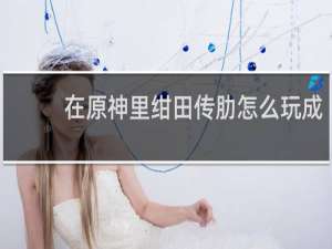 在原神里绀田传肋怎么玩成