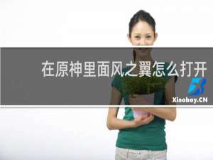 在原神里面风之翼怎么打开