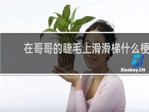 在哥哥的睫毛上滑滑梯什么梗