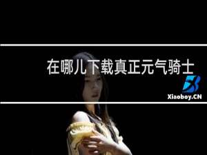 在哪儿下载真正元气骑士