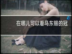 在哪儿可以看马东锡的冠军