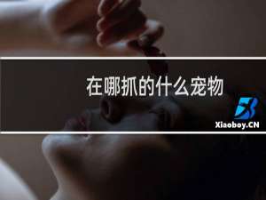 在哪抓的什么宠物