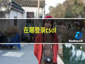 在哪登录csol