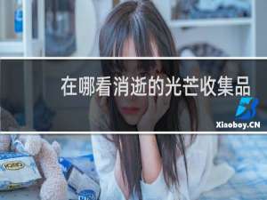 在哪看消逝的光芒收集品