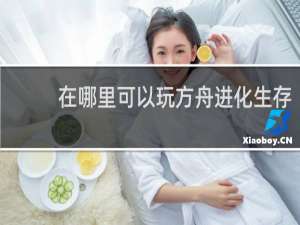 在哪里可以玩方舟进化生存