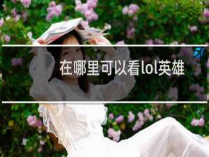 在哪里可以看lol英雄