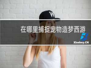 在哪里捕捉宠物造梦西游