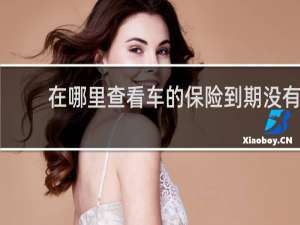 在哪里查看车的保险到期没有